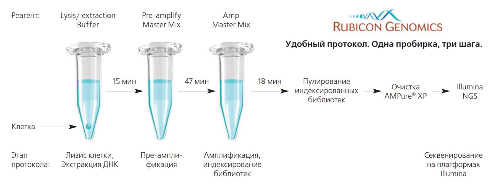 Схема протокола